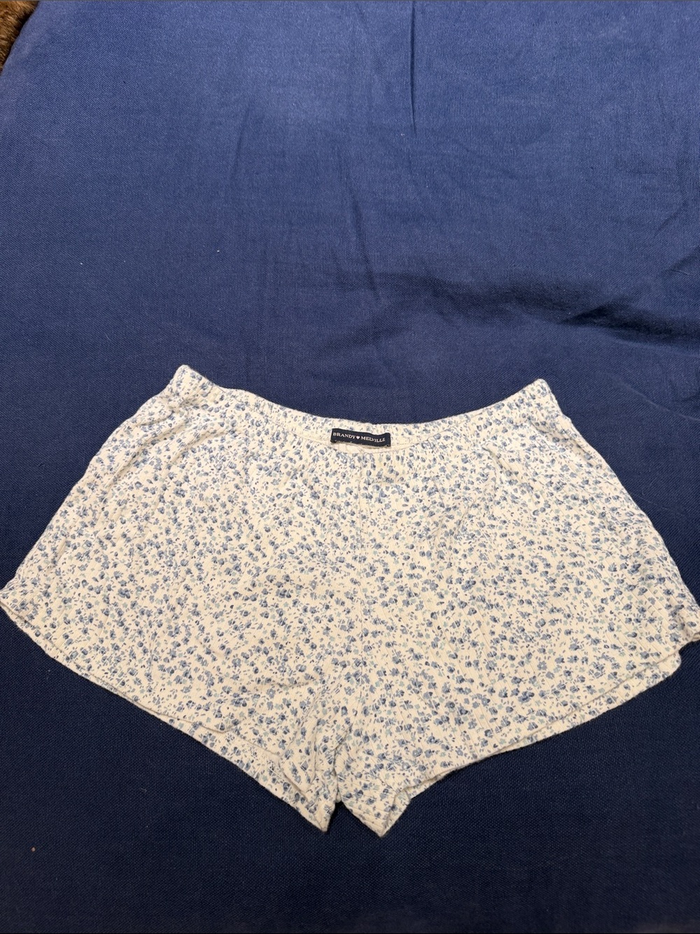 Brandy Melville White and Blue Floral Athletic Shorts
